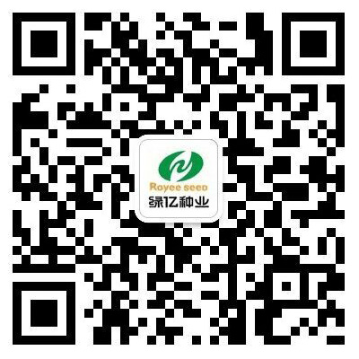 这是描述信息 这是描述信息