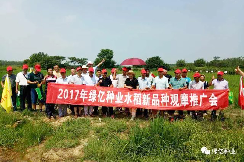 绿亿