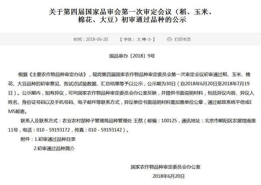 绿亿