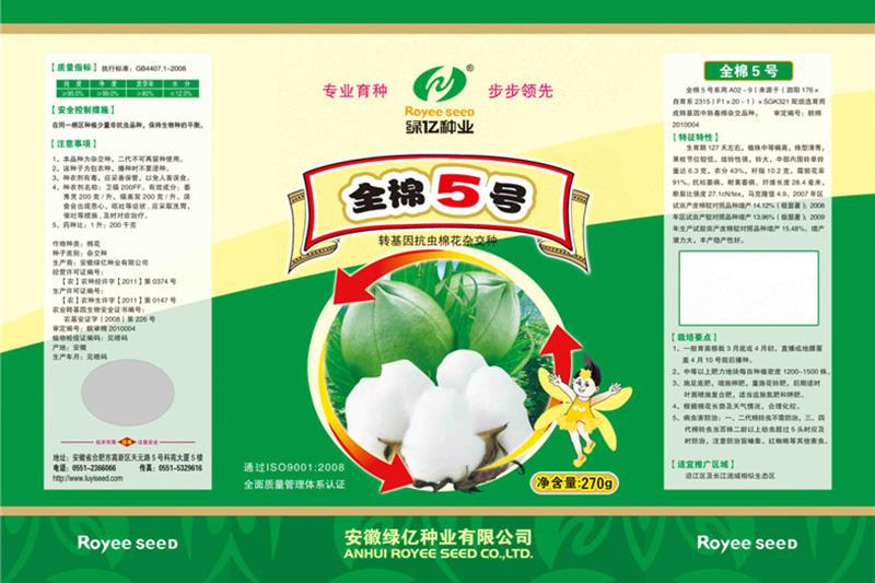 全棉5号