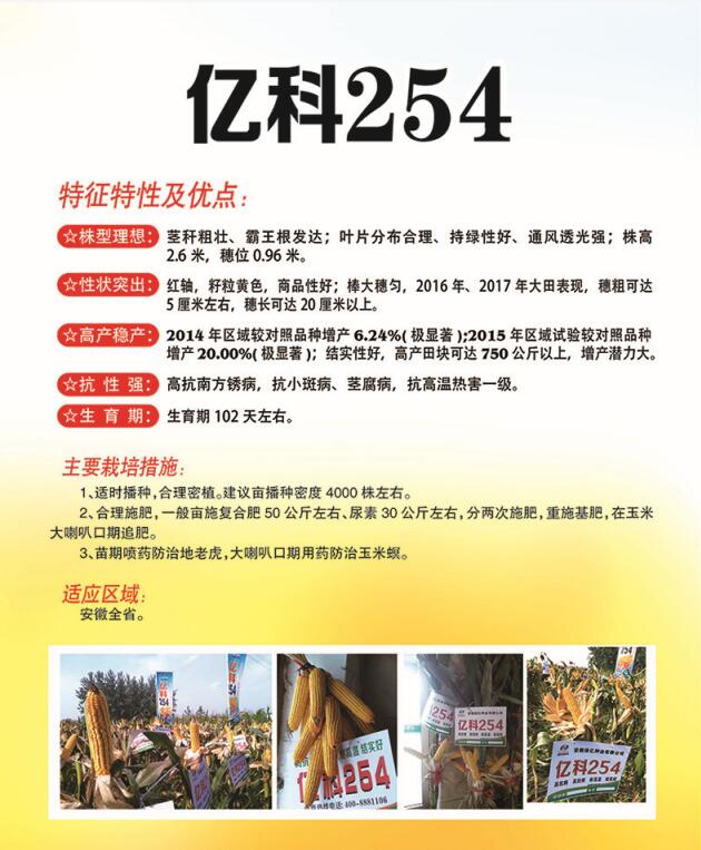 亿科254