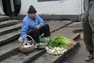 电子商务不是农业的救世主!